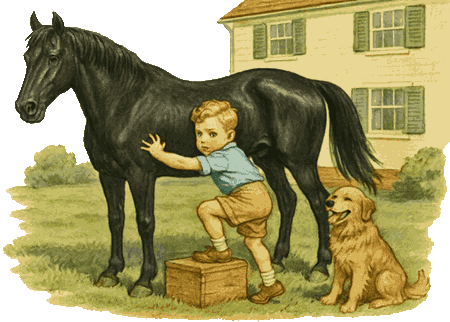 If Wishes Were Horses