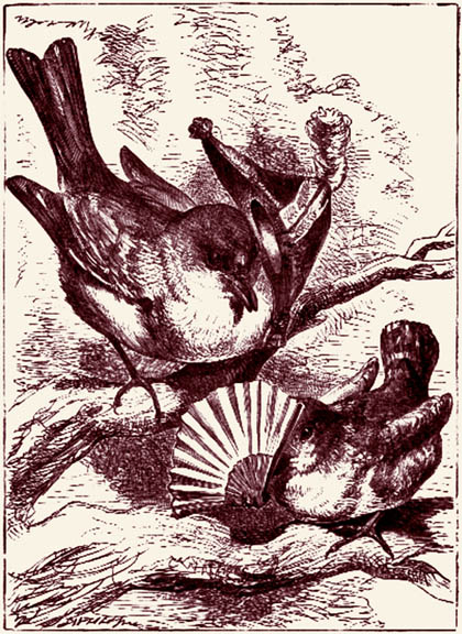 When Jenny Wren Was Young